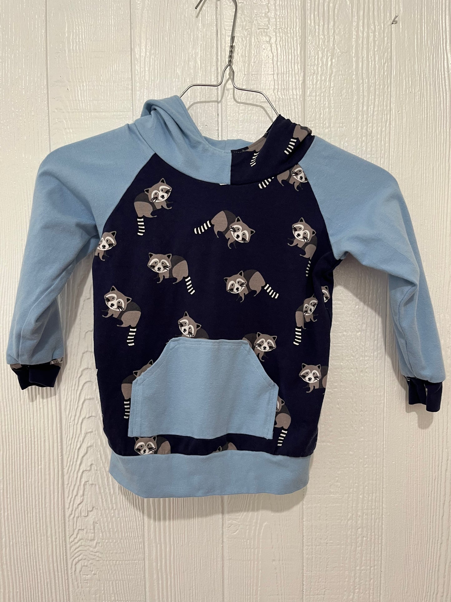 Blue raccoon hoodie 2-3T