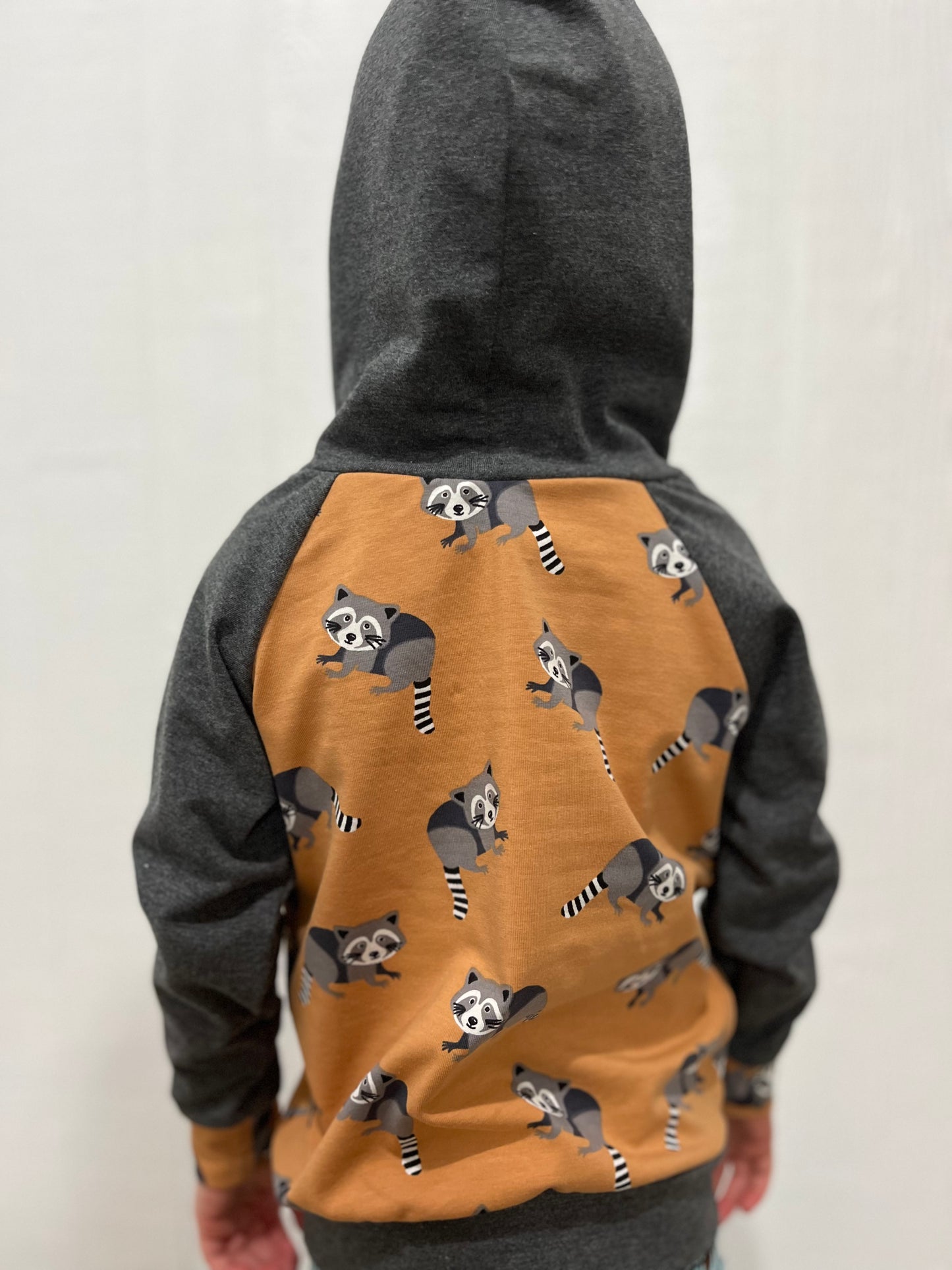 Raccoon/gray hoodie 18-24 months