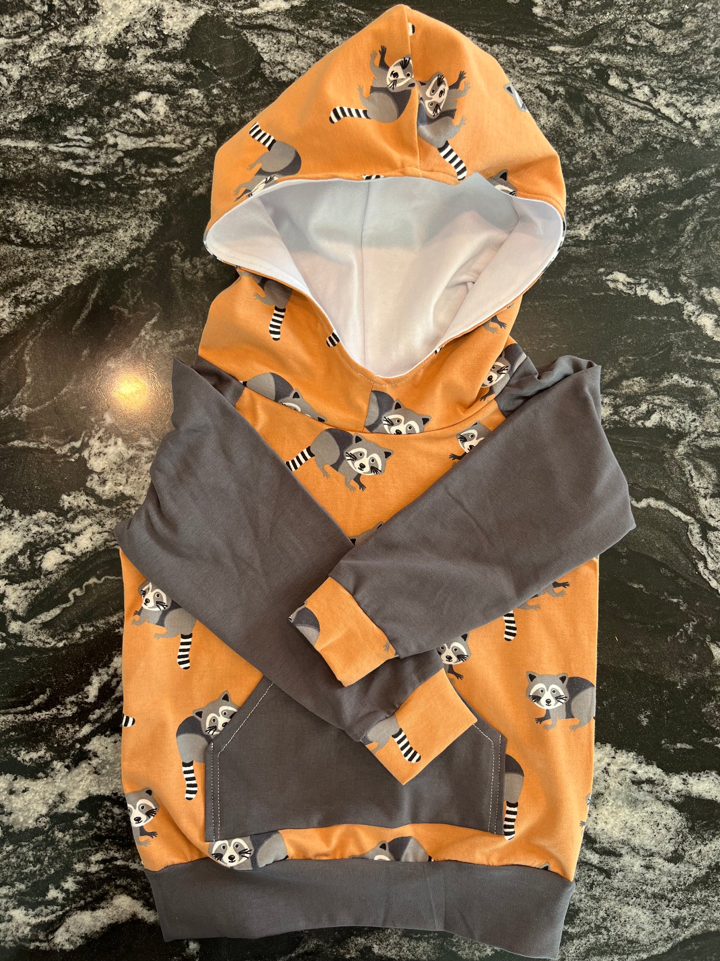 Raccoon/ gray hoodie 9-12 months