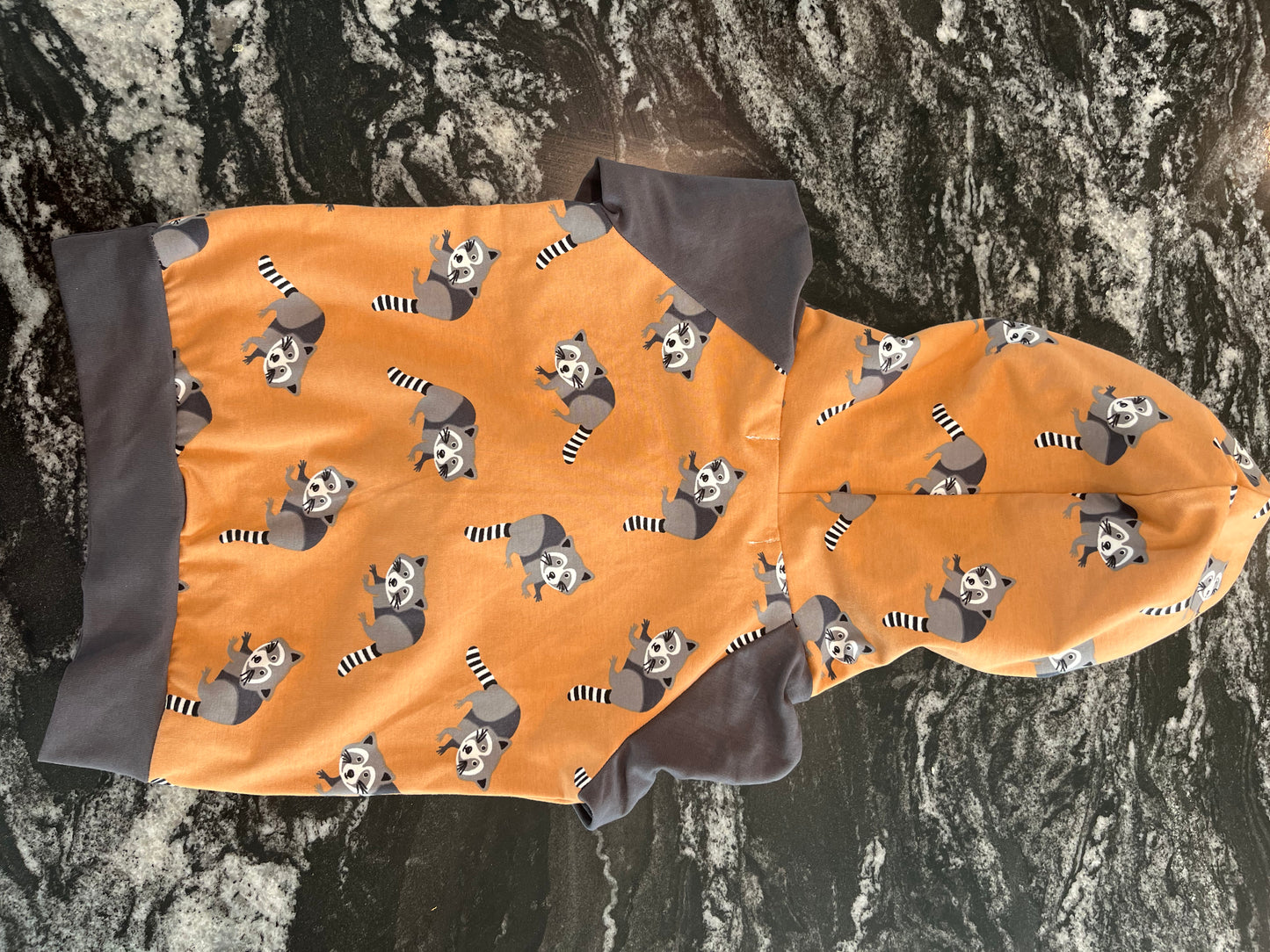 Raccoon/ gray hoodie 9-12 months