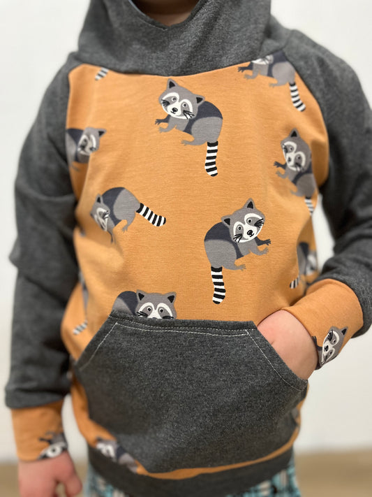 Raccoon/gray hoodie 18-24 months