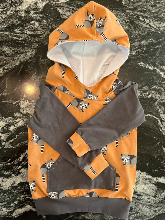 Raccoon/ gray hoodie 9-12 months